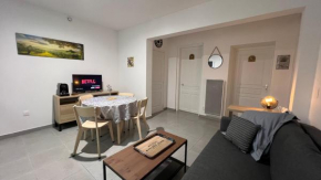 Appartement T2 40 M2 rénové RDC plein centre ville